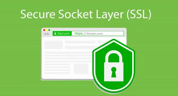 SSL安全網(wǎng)關(guān)
