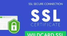 二級域名,SSL證書