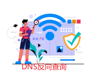 DNS反向查詢