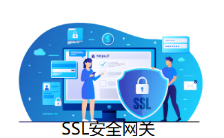 SSL安全網(wǎng)關(guān)
