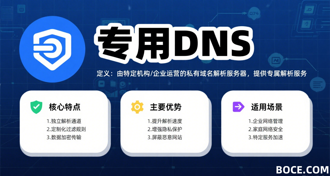 專用DNS