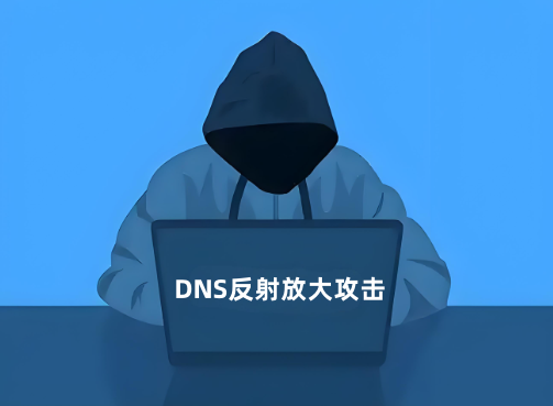 DNS反射放大攻擊