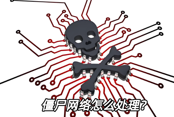 僵尸網(wǎng)絡(luò)