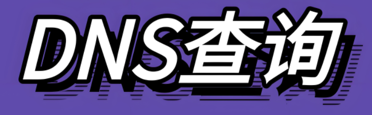 DNS查詢