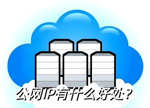 公網(wǎng)IP