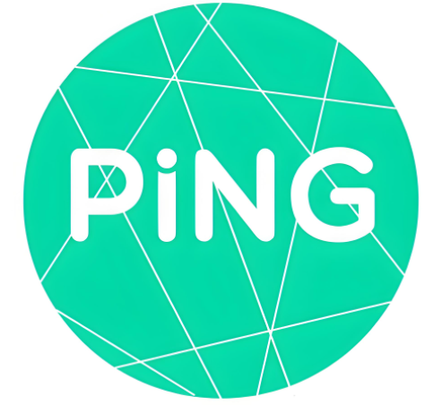 網(wǎng)站Ping